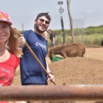 התנדבויות לקבוצות. עוזרים לבעלי חיים בחווה או במקלט בעלי חיים ומצילים חיות