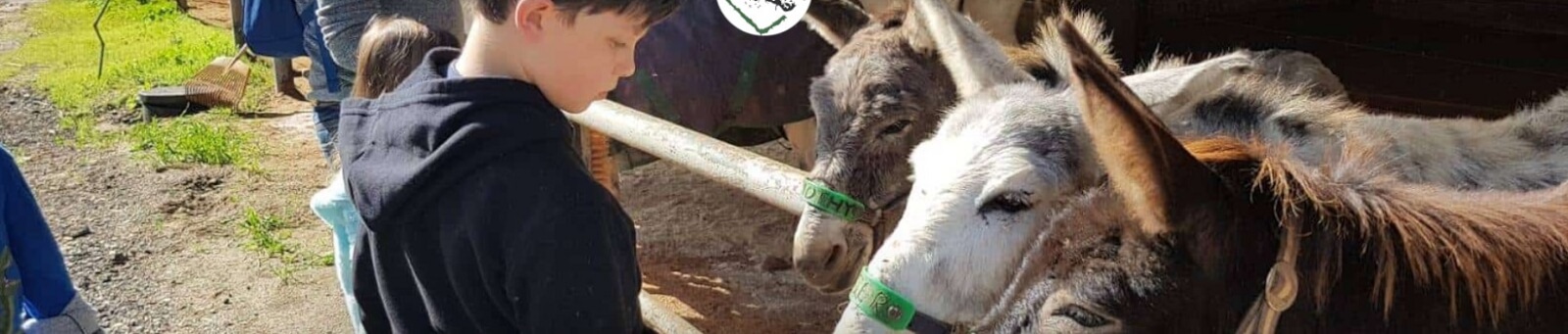 לוסי בית מחסה לחמורים לוסי בית מחסה לחמורים