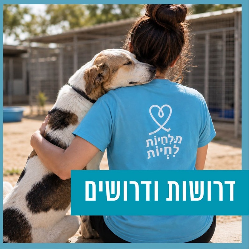 לעמותת תנו לחיות לחיות דרושים מתנדבים עם כלבים