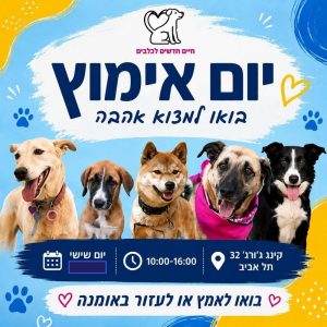 יום אימוץ במרכז, התנדבות עם חיות